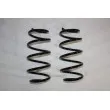 AUTOMEGA 110163910 - Ressort de suspension