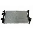 AUTOMEGA 130099110 - Radiateur, refroidissement du moteur