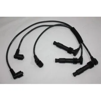Kit de câbles d'allumage AUTOMEGA 150104110