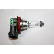 AUTOMEGA 150110910 - Ampoule