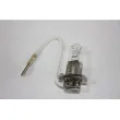 AUTOMEGA 150111110 - Ampoule
