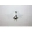 Ampoule AUTOMEGA [150113110]