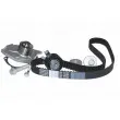 AUTOMEGA 160001310 - Pompe à eau + kit de courroie de distribution