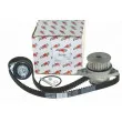 AUTOMEGA 160002010 - Pompe à eau + kit de courroie de distribution