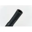 AUTOMEGA 160042110 - Durite de radiateur