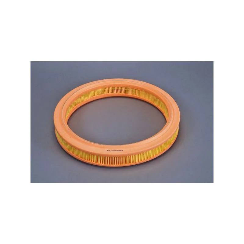 Filtre à air AUTOMEGA 180017810 - Visuel 1