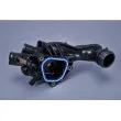 AUTOMEGA 210183810 - Thermostat, liquide de refroidissement