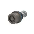 REINHOCH RH03-0021 - Rotule de suspension