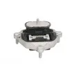 REINHOCH RH12-0032 - Suspension, boîte automatique