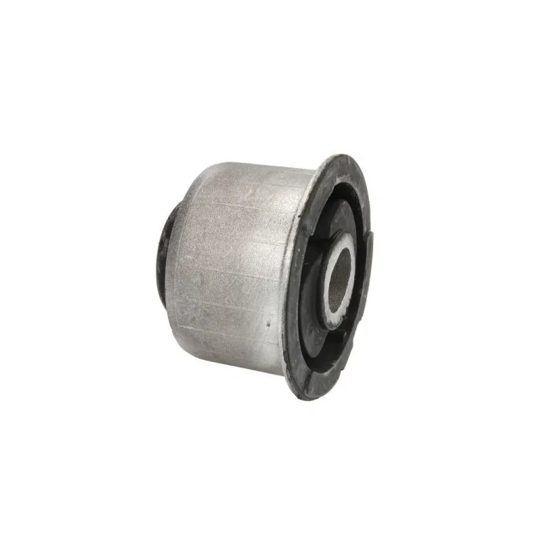 Suspension, support d'essieu REINHOCH RH19-0006 - Visuel 1