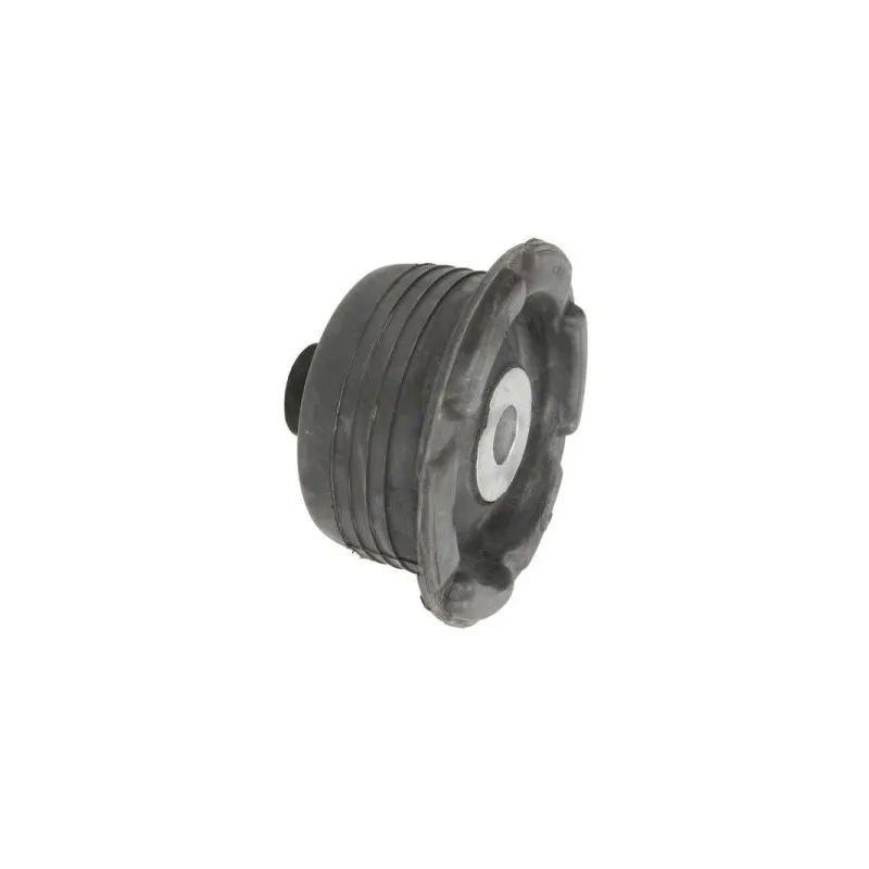 Silent bloc de suspension (train arrière) REINHOCH RH20-5007 - Visuel 1