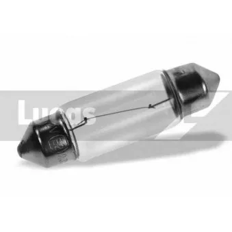 LUCAS ELECTRICAL LLB239LLPX2 - Ampoule, feu éclaireur de plaque