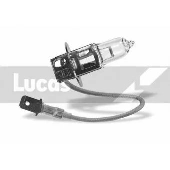 LUCAS ELECTRICAL LLB453 - Ampoule, projecteur longue portée