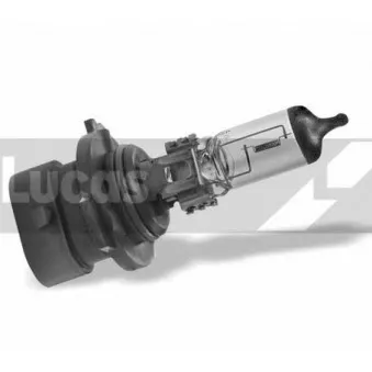 LUCAS ELECTRICAL LLB9006XS - Ampoule, projecteur longue portée