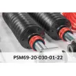 EIBACH PSM69-20-030-01-22 - Jeu de suspensions, ressorts/amortisseurs