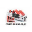 EIBACH PSM69-20-030-02-22 - Jeu de suspensions, ressorts/amortisseurs