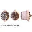 Alternateur LUCAS ELECTRICAL [LRA01189]