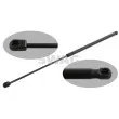 SWAG 30 93 1635 - Vérin, capot-moteur