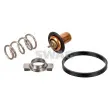 Thermostat, liquide de refroidissement SWAG [33 10 1629]