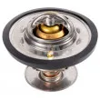 SWAG 55 91 4772 - Thermostat, liquide de refroidissement