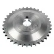 Roue dentée, arbre à came SWAG [81 10 1157]