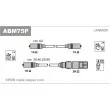 Kit de câbles d'allumage JANMOR [ABM75P]