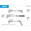JANMOR AM65 - Kit de câbles d'allumage