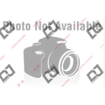 Triangle ou bras de suspension (train arrière) NK 5013010