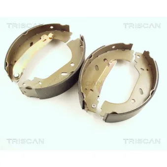 TRISCAN 8100 10004 - Jeu de mâchoires de frein