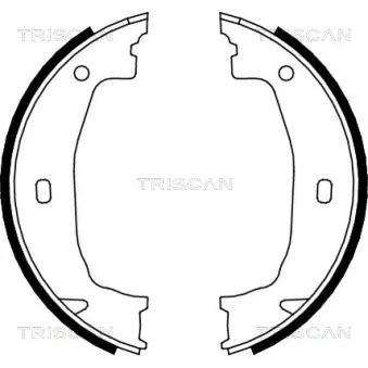 TRISCAN 8100 11011 - Jeu de mâchoires de frein