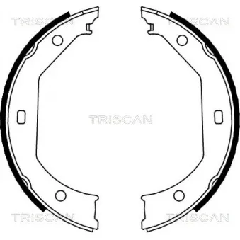 TRISCAN 8100 11638 - Jeu de mâchoires de frein