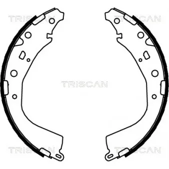TRISCAN 8100 13053 - Jeu de mâchoires de frein