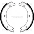 TRISCAN 8100 23030 - Jeu de mâchoires de frein