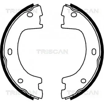 TRISCAN 8100 23032 - Jeu de mâchoires de frein