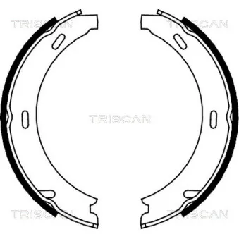 TRISCAN 8100 23412 - Jeu de mâchoires de frein