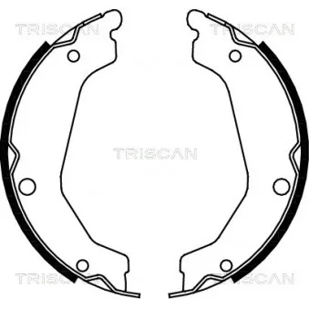 TRISCAN 8100 43019 - Jeu de mâchoires de frein