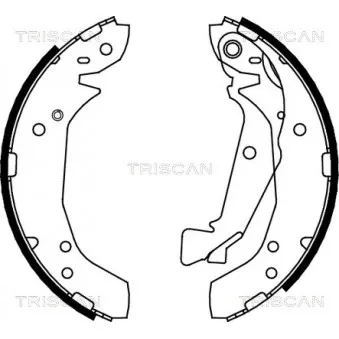 TRISCAN 8100 43025 - Jeu de mâchoires de frein