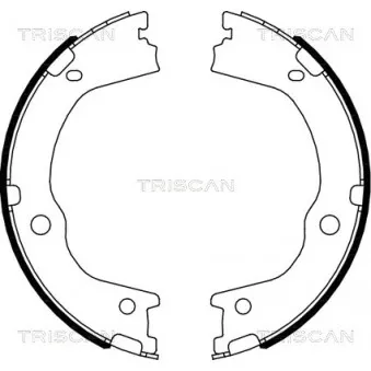 TRISCAN 8100 43027 - Jeu de mâchoires de frein