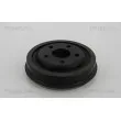 Tambour de frein TRISCAN [8120 10221]