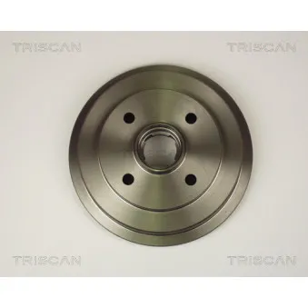 TRISCAN 8120 14202 - Tambour de frein