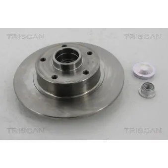 TRISCAN 8120 25173 - Jeu de 2 disques de frein avant