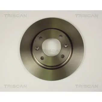 Jeu de 2 disques de frein arrière TRISCAN [8120 28103]