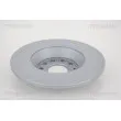 TRISCAN 8120 291004 - Jeu de 2 disques de frein avant