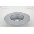 TRISCAN 8120 291022 - Jeu de 2 disques de frein avant
