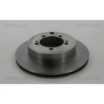 Jeu de 2 disques de frein arrière TRISCAN [8120 42132]