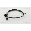 Câble flexible de commande de compteur TRISCAN [8140 21402]