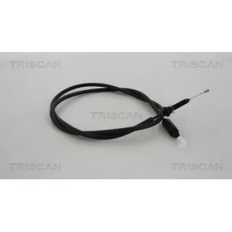 TRISCAN 8140 25356 - Câble d'accélération