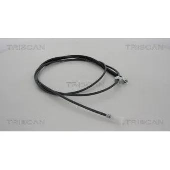 TRISCAN 8140 25414 - Câble flexible de commande de compteur