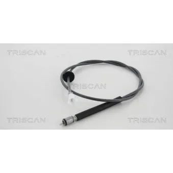 TRISCAN 8140 25416 - Câble flexible de commande de compteur