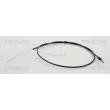 Tirette de capot moteur TRISCAN [8140 28612]